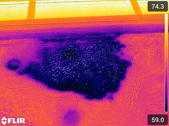 Roof & Moisture Intrusion Surveys